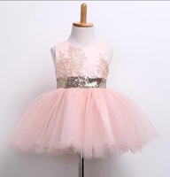 Girls special occasion wear. Formal flower girl dresses